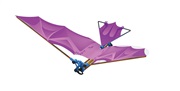GI-7405 Ornithopter - Fly with wings