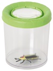 Large insect glass with magnifying glass
