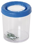 Large insect glass with magnifying glass