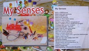 My senses