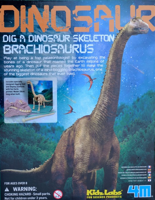 Brachiosaurus skeleton Brachiosaurus skeleton