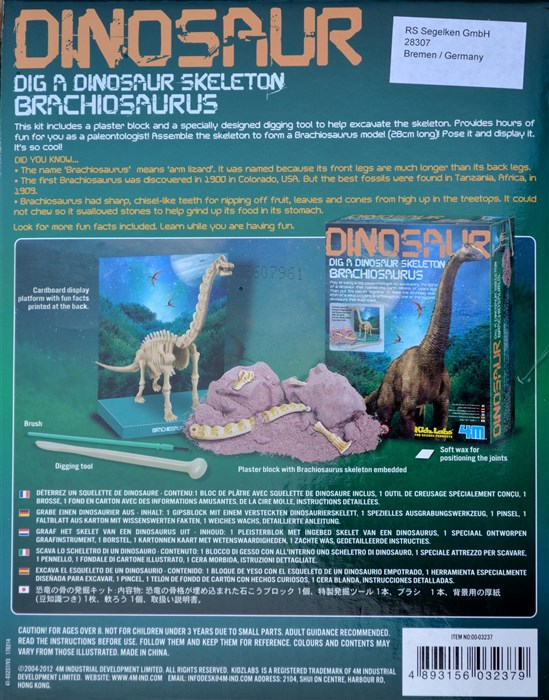 Brachiosaurus skeleton Brachiosaurus skeleton