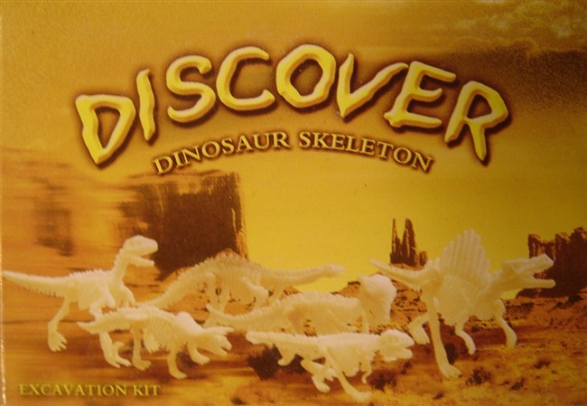 Dinosaur skeleton Dinosaur skeleton