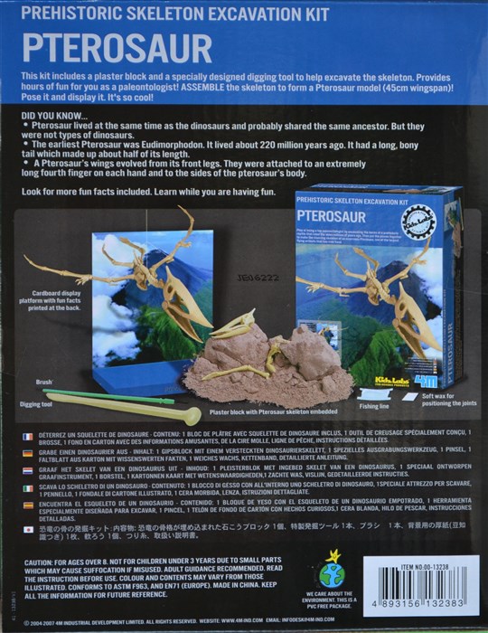 Excavate a Pteranodon dinosaur Excavate a Pteranodon dinosaur