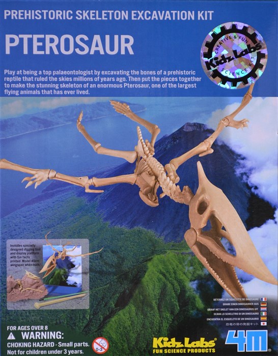 Excavate one Pteranodon dinosaur Excavate one Pteranodon dinosaur
