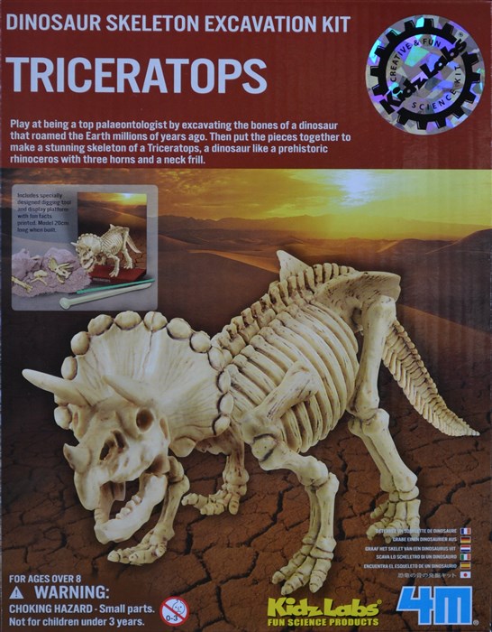 Excavate one Triceratops dinosaur Excavate one Triceratops dinosaur