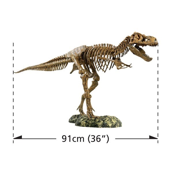 Huge Tyrannosaurus Rex