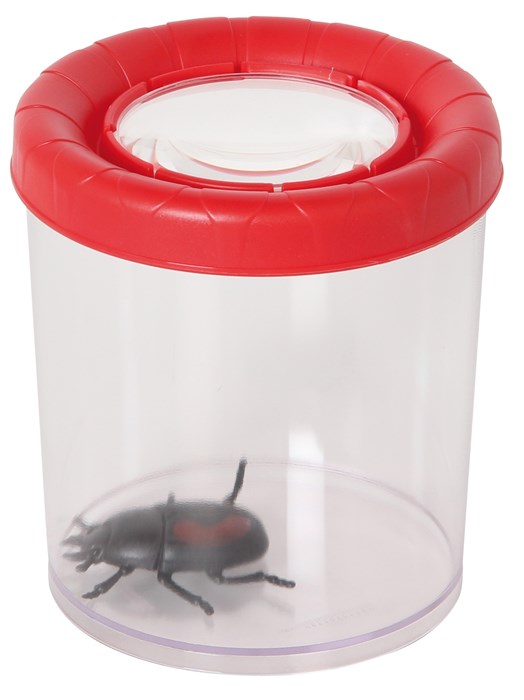 Large insect glass with magnifying glass