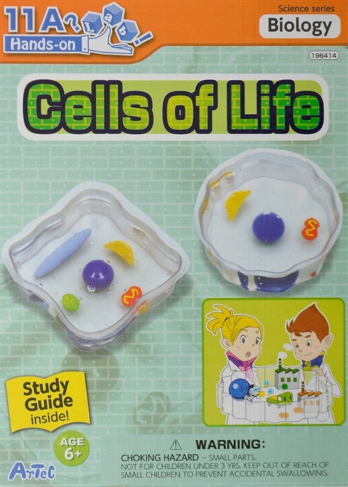 Life cells