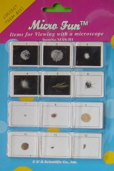 Microscope samples Microscope samples