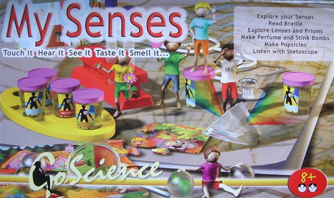 My senses My senses