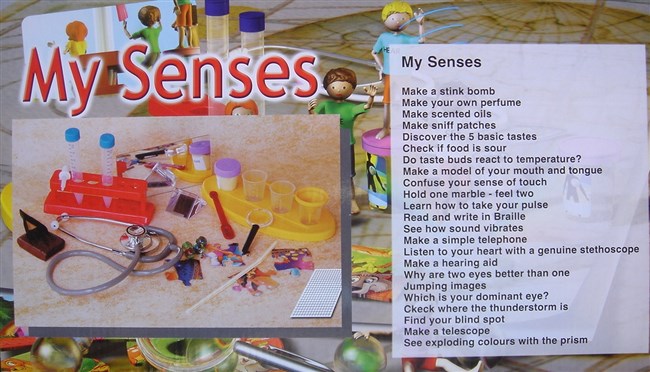 My senses My senses