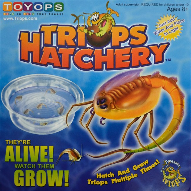 Prehistoric marine animals - Triops Hatchery
