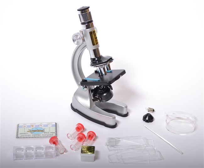 School microscope School microscope