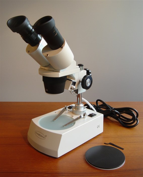 Stereo Microscope / Stereo, x20 and 40x