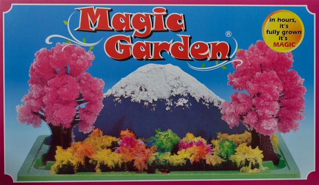 The Magic garden