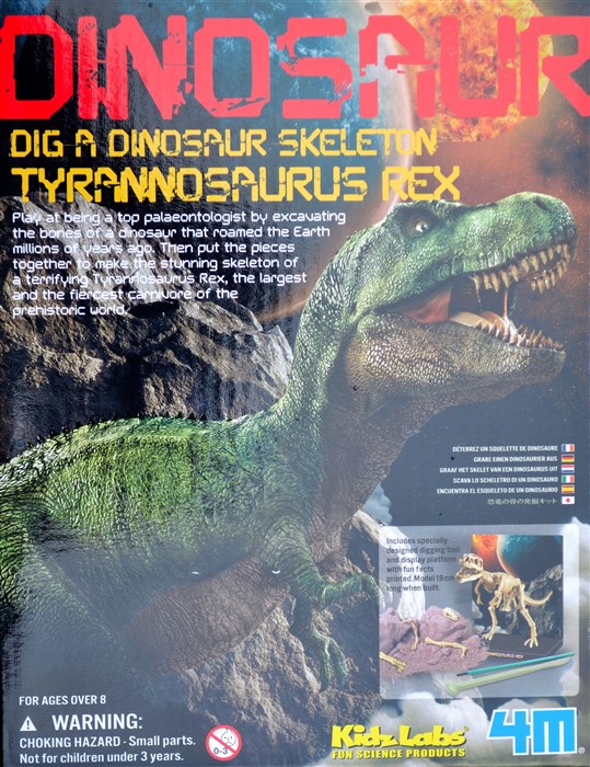 Tyrannosaurus Rex skeleton Tyrannosaurus Rex skeleton