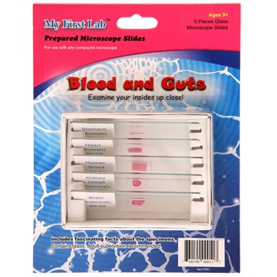 5 finished samples from blood and internal organs