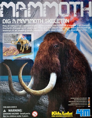 Excavate a mammoth skeleton