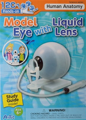 Model of an eye - with liquid lens