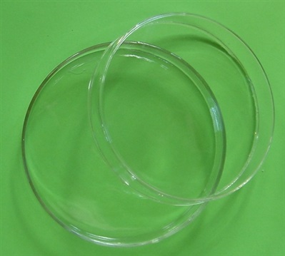 Petri dish in glass