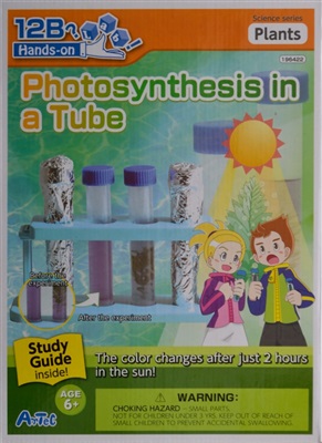 Photosynthesis in a tube