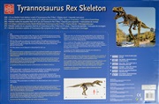 Huge Tyrannosaurus Rex